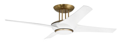 Cam 54 Indoor Ceiling Fan