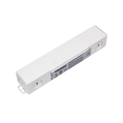 12/24VDC Dimmable LED Driver