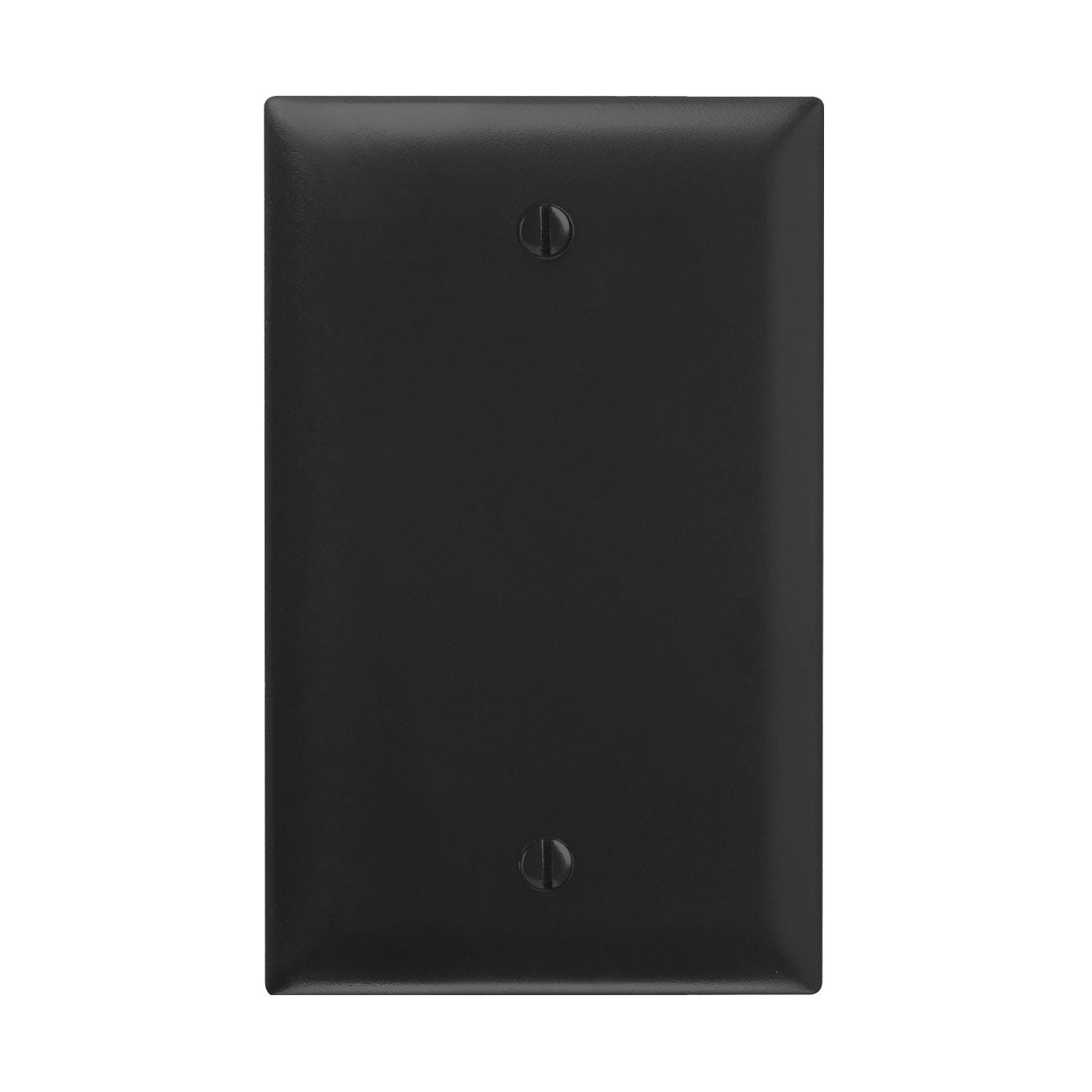 Wall Plate: 1G Blank