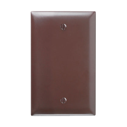 Wall Plate: 1G Blank