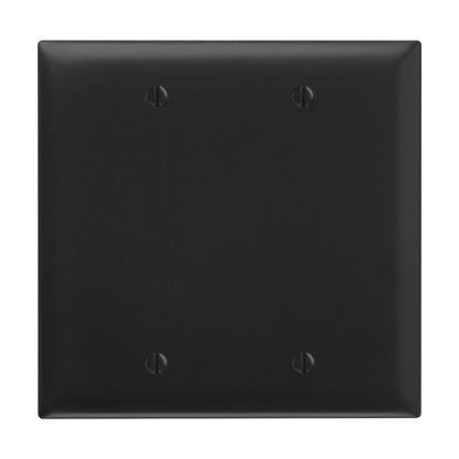 Wall Plate: 2G Blank