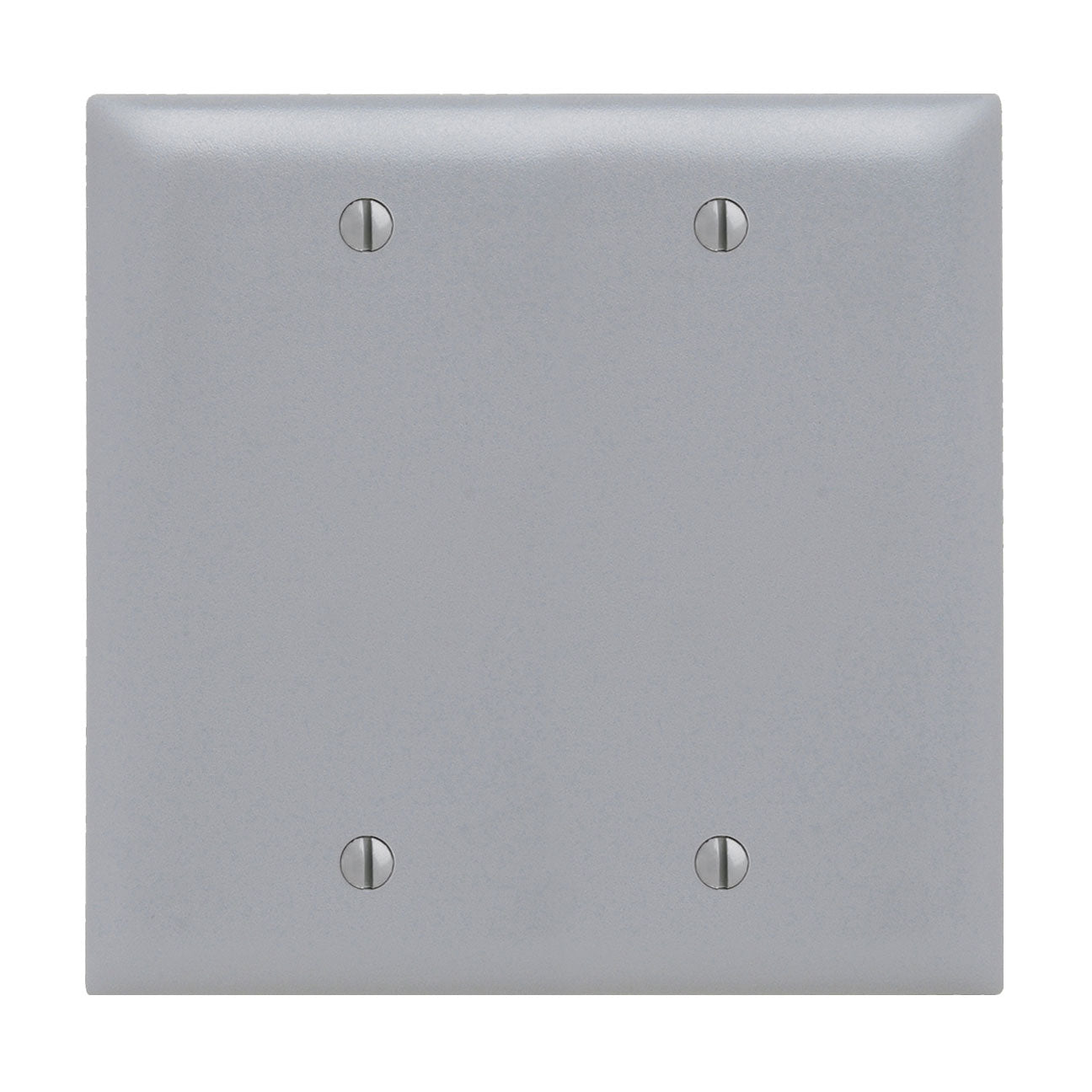 Wall Plate: 2G Blank