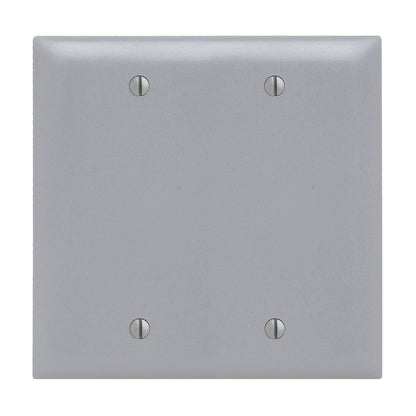 Wall Plate: 2G Blank