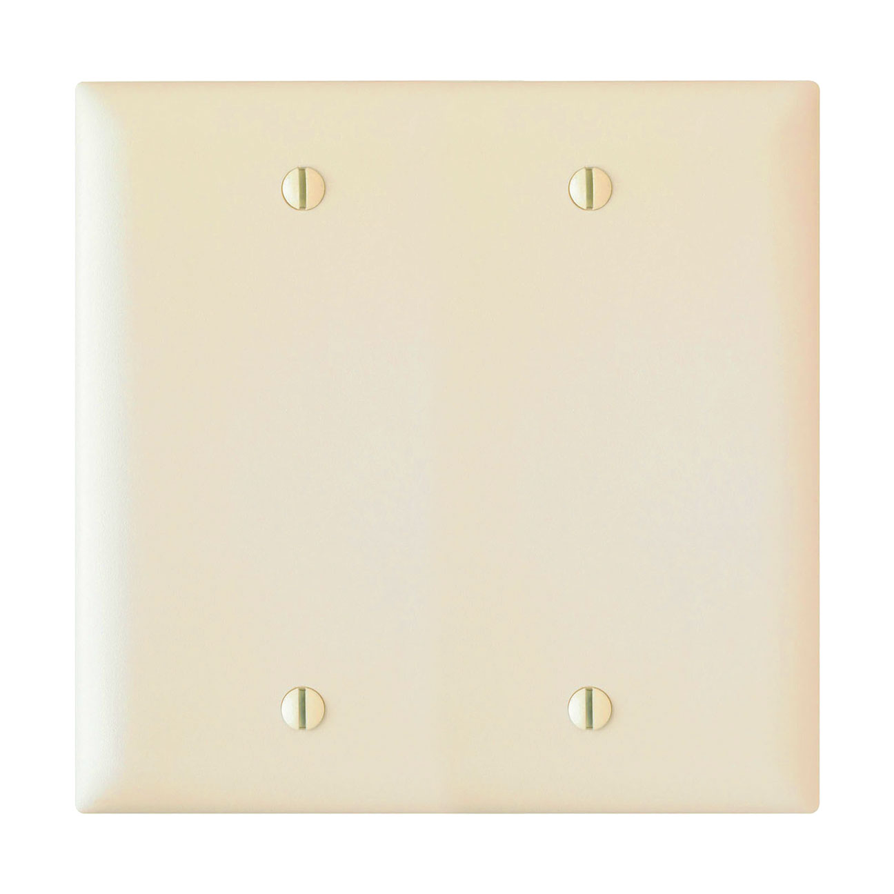 Wall Plate: 2G Blank