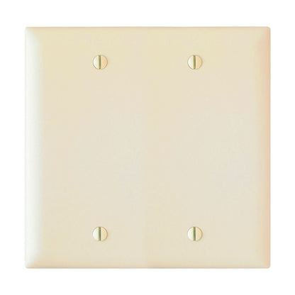 Wall Plate: 2G Blank