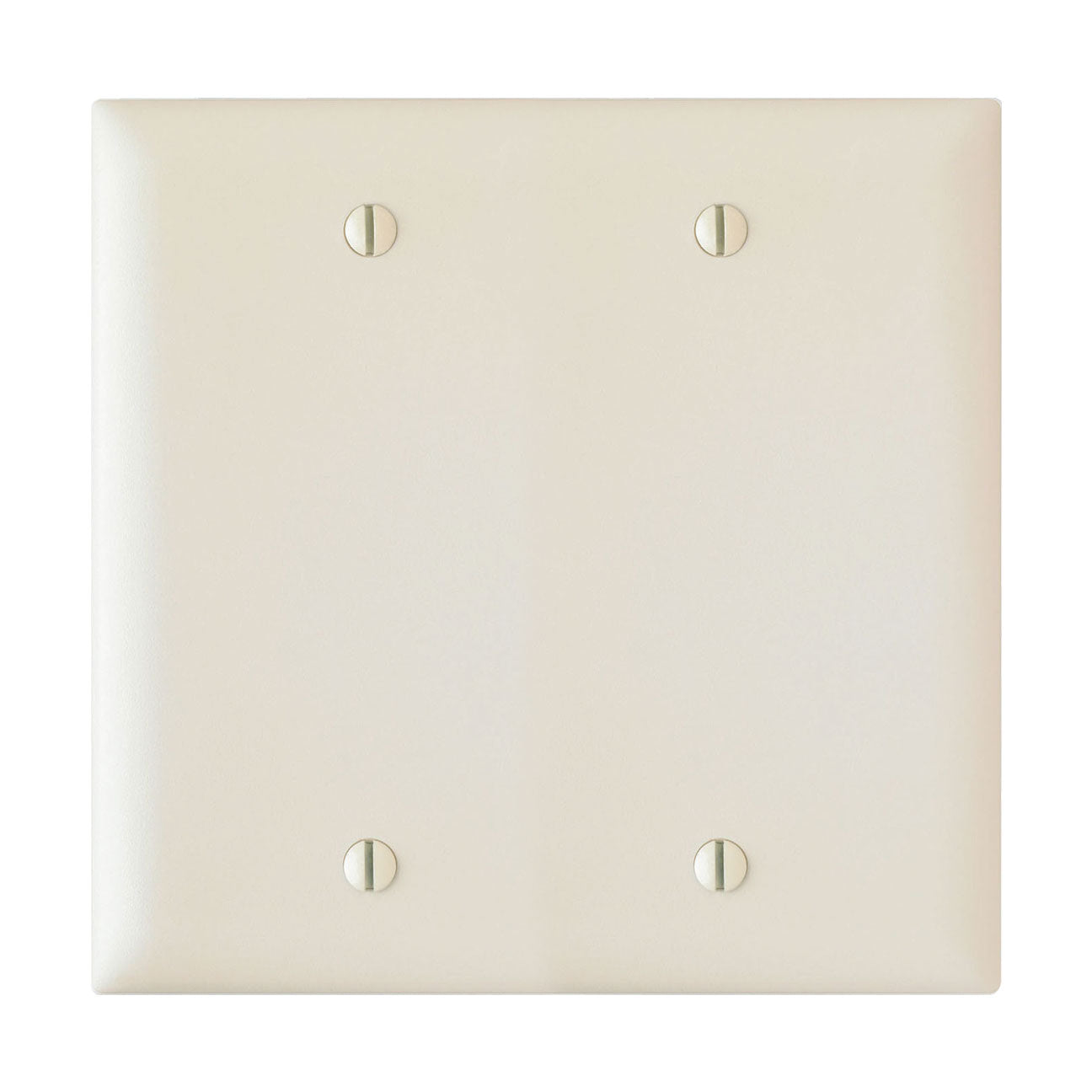 Wall Plate: 2G Blank