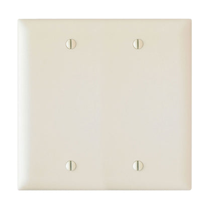 Wall Plate: 2G Blank