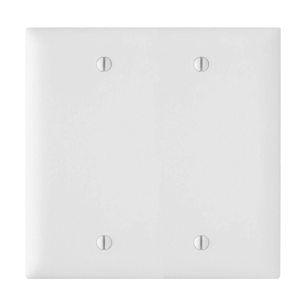 Wall Plate: 2G Blank