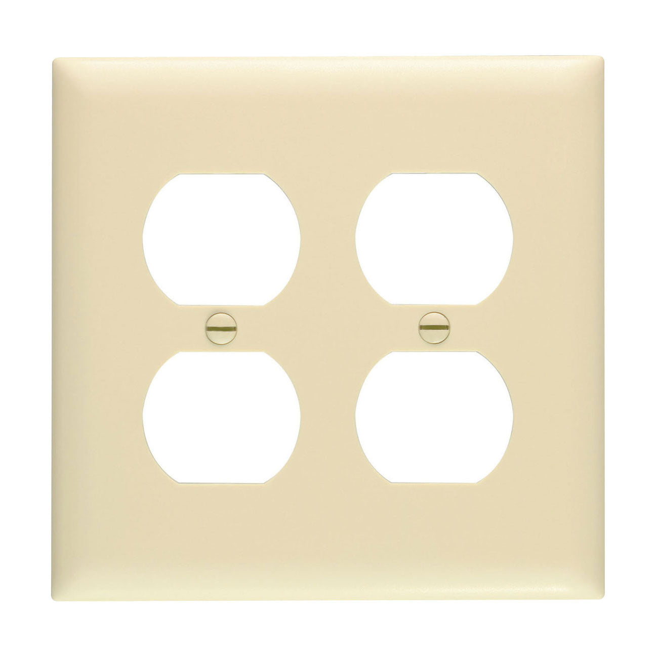 Wall Plate: 2G Duplex Receptacle