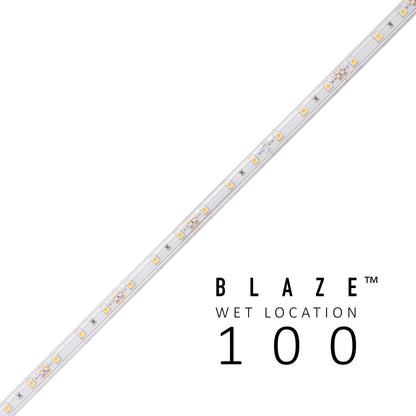 BLAZE™ 24VDC Wet Location Tape Light - 100' Roll